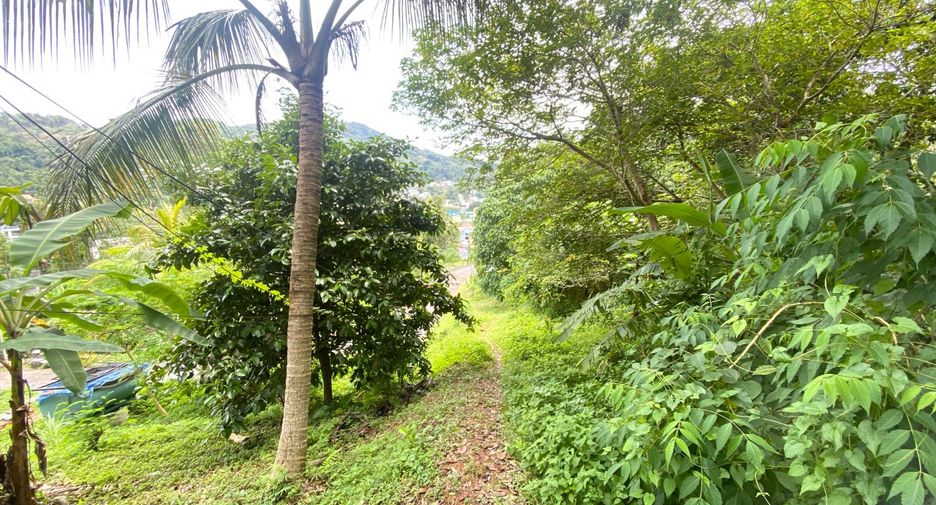 For sale land in Kathu, Phuket
