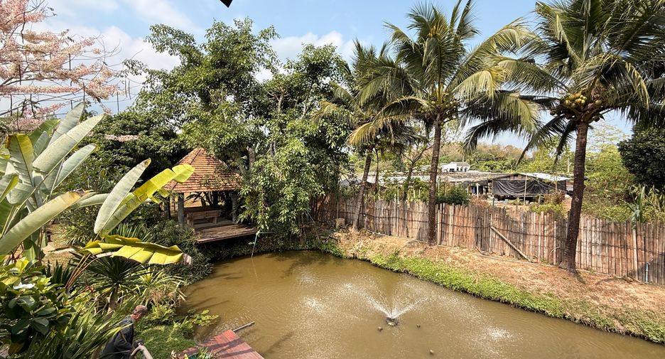 For rent 3 bedrooms house in Mae Rim, Chiang Mai