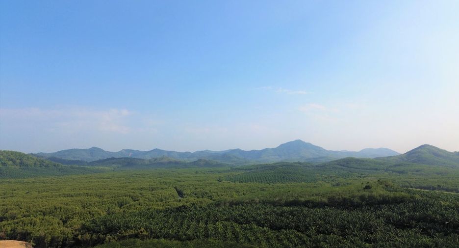 For rent and for sale land in Takua Thung, Phang Nga