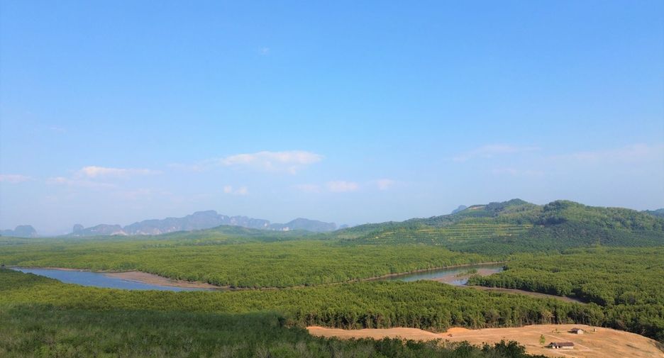 For rent and for sale land in Takua Thung, Phang Nga
