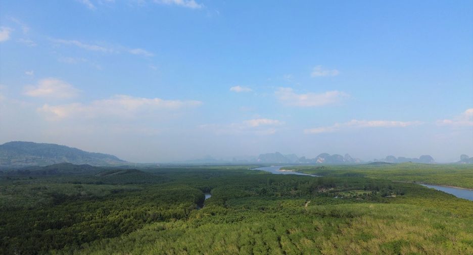 For rent and for sale land in Takua Thung, Phang Nga