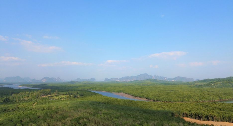 For rent and for sale land in Takua Thung, Phang Nga