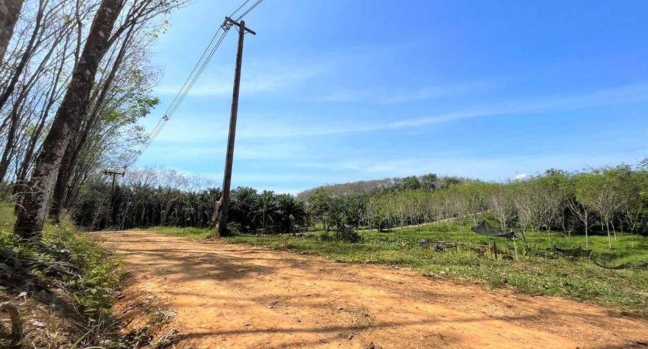 For rent and for sale land in Takua Thung, Phang Nga