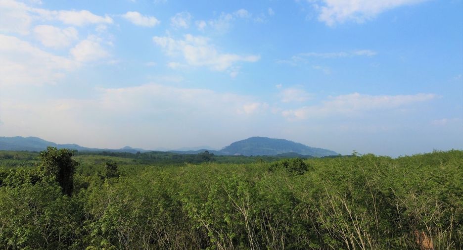 For rent and for sale land in Takua Thung, Phang Nga