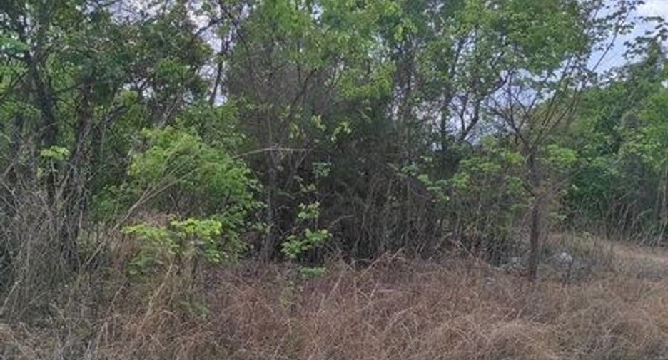 For sale land in Chum Phae, Khon Kaen