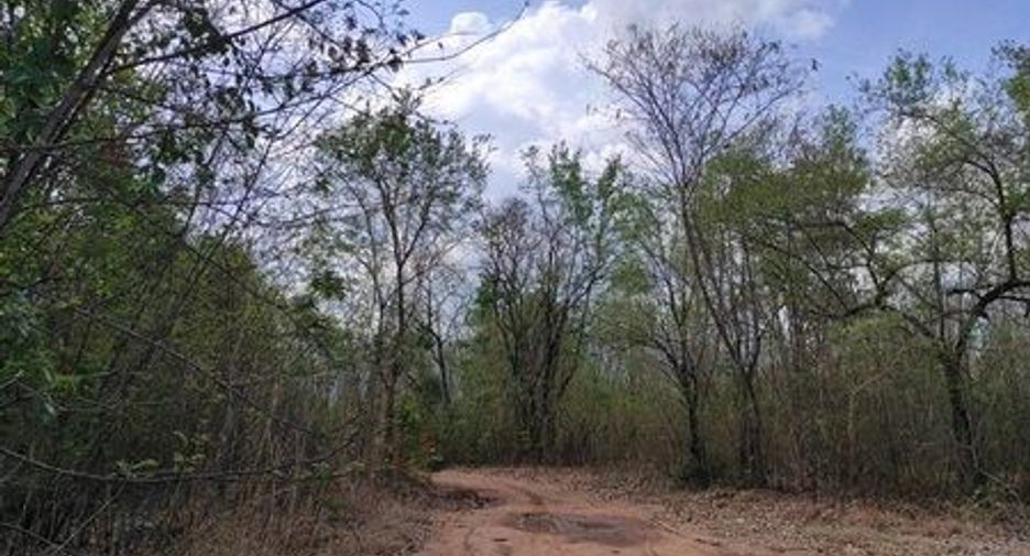 For sale land in Chum Phae, Khon Kaen