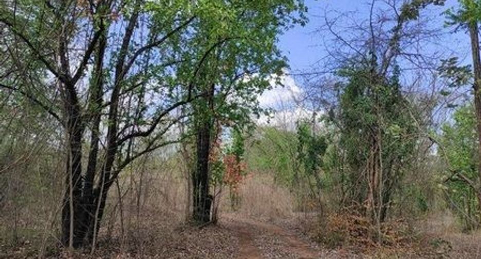 For sale land in Chum Phae, Khon Kaen