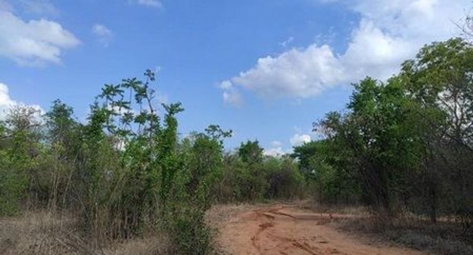 For sale land in Chum Phae, Khon Kaen