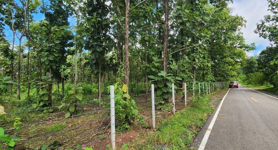 For sale land in Mae On, Chiang Mai