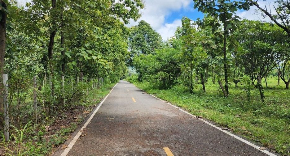 For sale land in Mae On, Chiang Mai