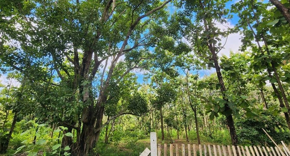 For sale land in Mae On, Chiang Mai