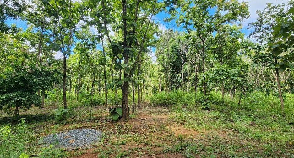 For sale land in Mae On, Chiang Mai