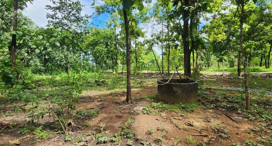 For sale land in Mae On, Chiang Mai