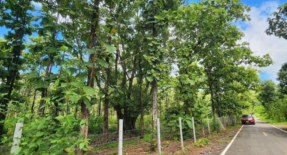For sale land in Mae On, Chiang Mai
