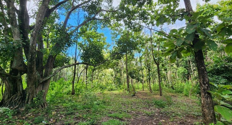 For sale land in Mae On, Chiang Mai