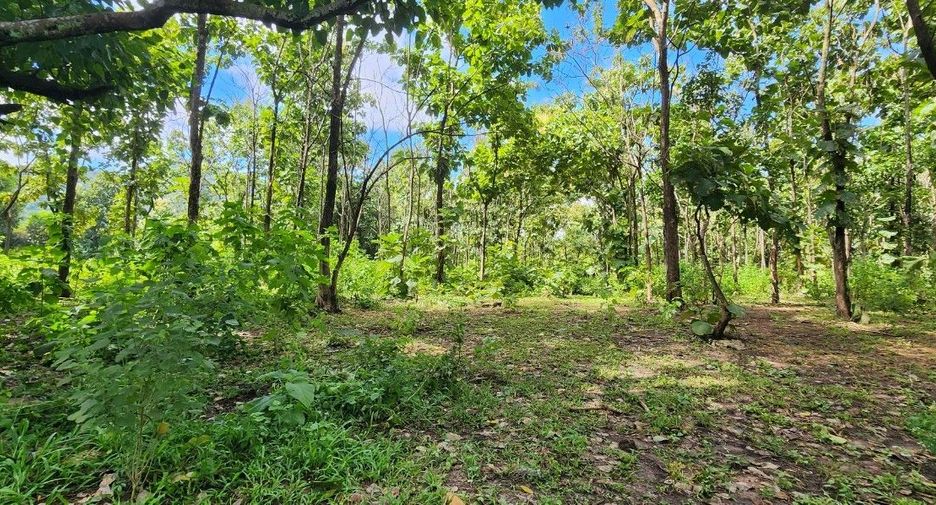 For sale land in Mae On, Chiang Mai