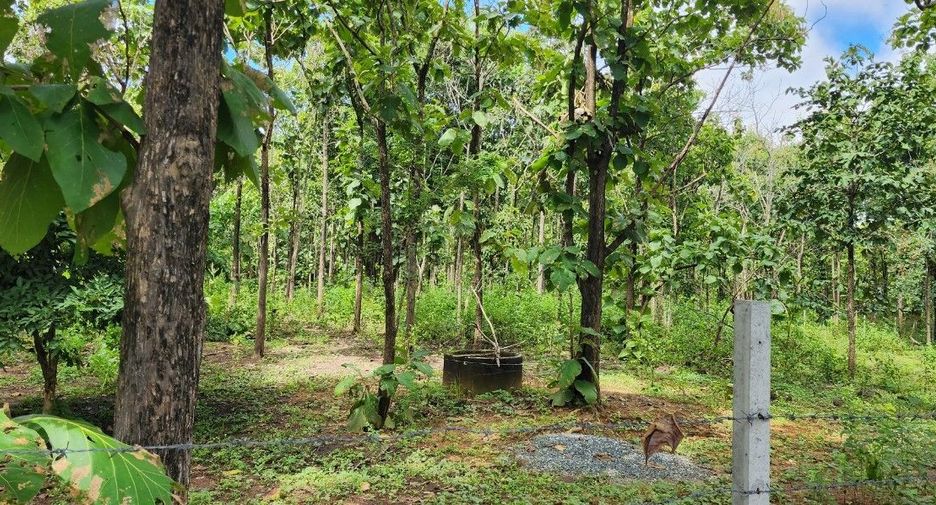 For sale land in Mae On, Chiang Mai