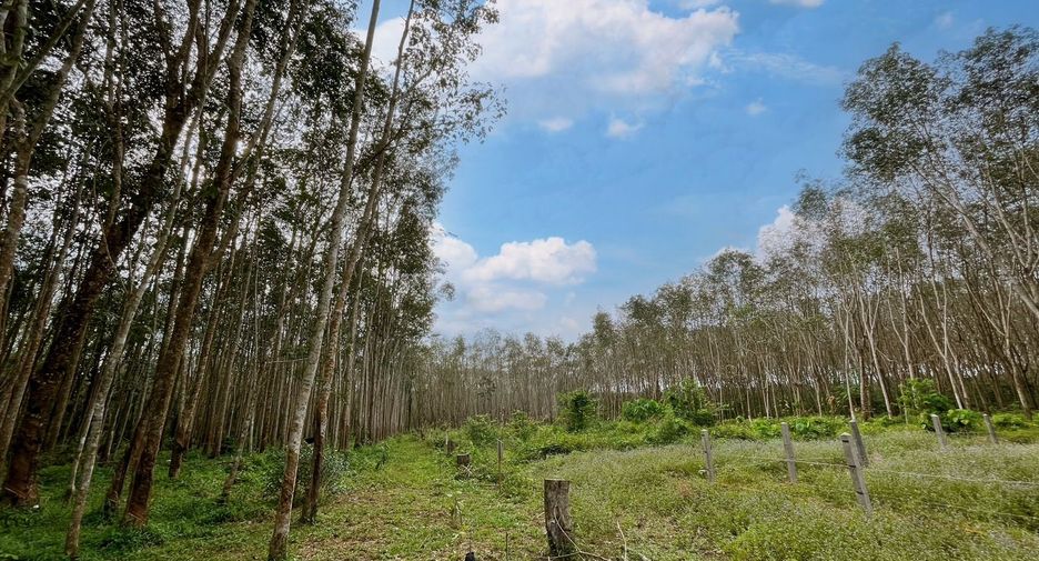 For sale 3 bedrooms house in Takua Thung, Phang Nga