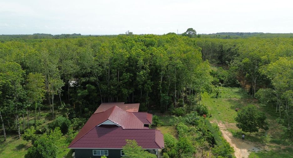 For sale 3 bedrooms house in Takua Thung, Phang Nga