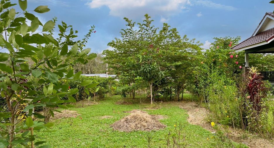 For sale 3 bedrooms house in Takua Thung, Phang Nga