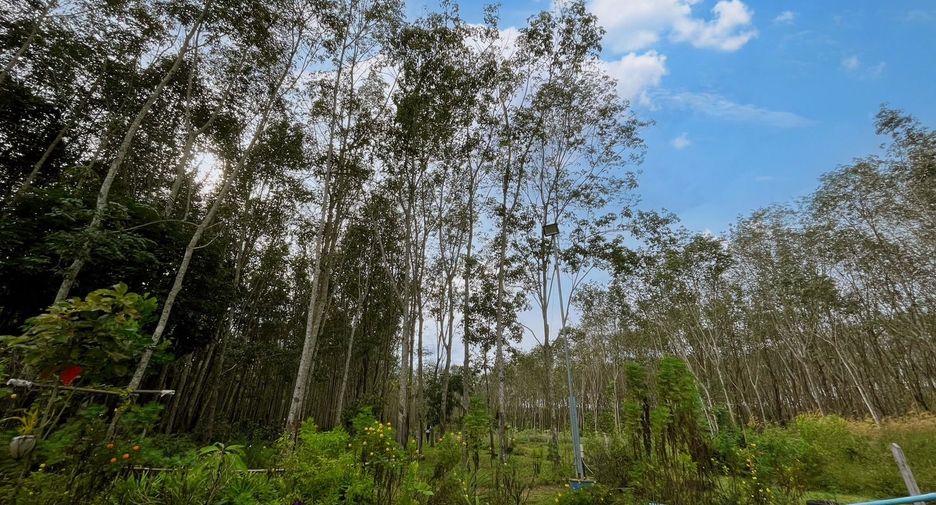 For sale 3 bedrooms house in Takua Thung, Phang Nga