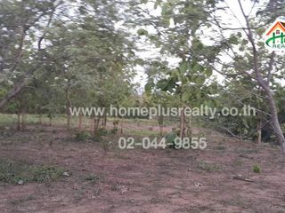 For sale land in Lom Kao, Phetchabun