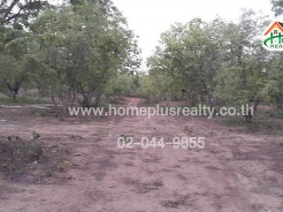 For sale land in Lom Kao, Phetchabun