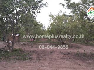 For sale land in Lom Kao, Phetchabun