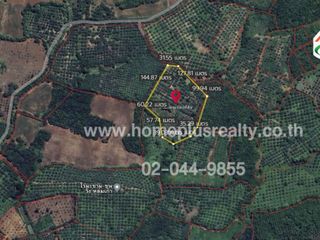 For sale land in Lom Kao, Phetchabun