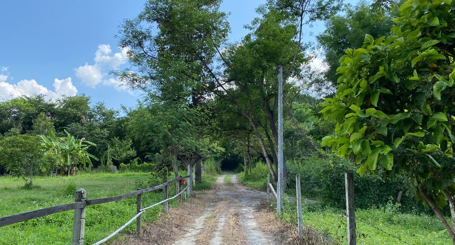 For rent 3 bedrooms house in Mae Rim, Chiang Mai