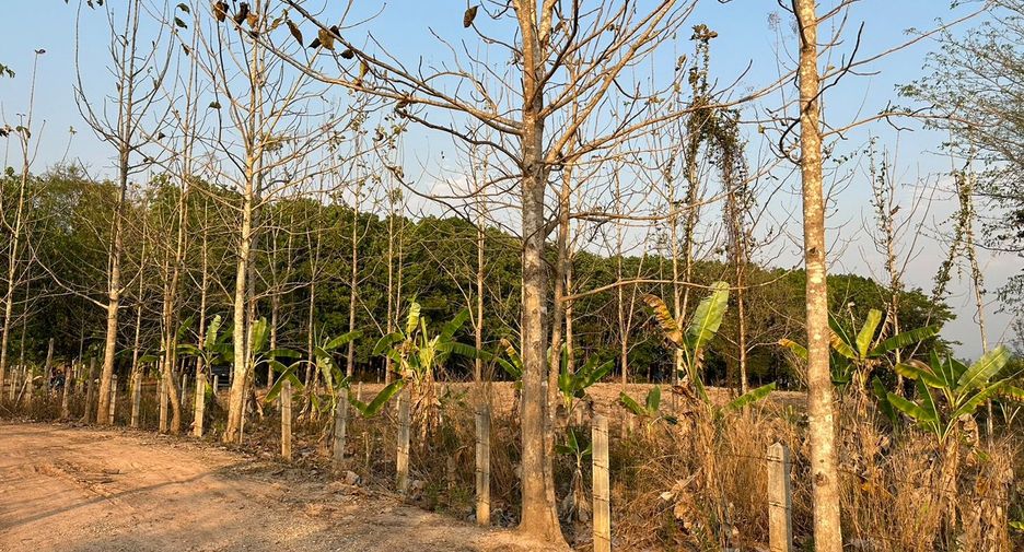 For sale land in Chiang Kham, Phayao