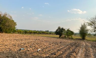 For sale land in Chiang Kham, Phayao