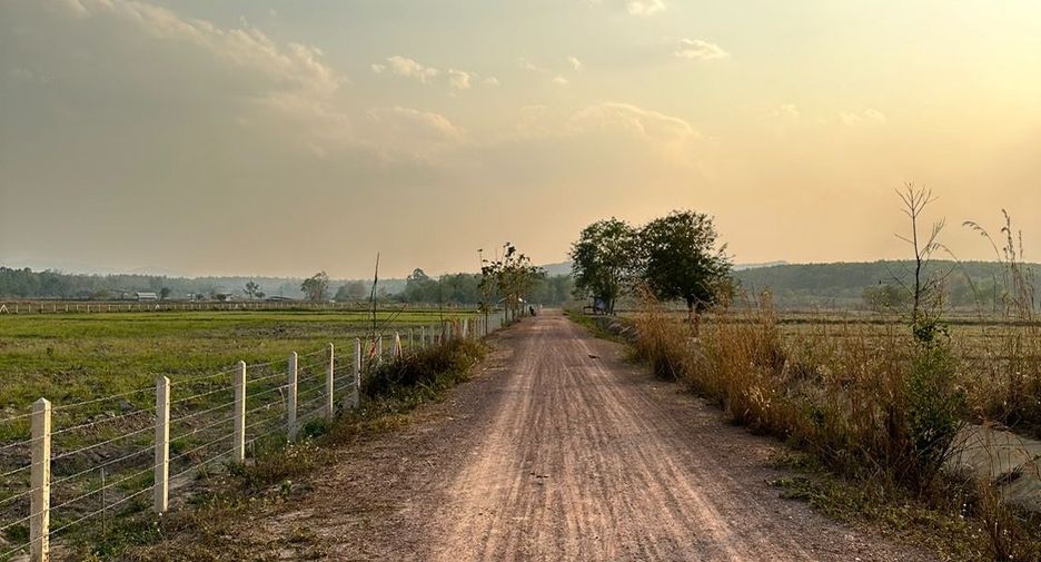 For sale land in Chiang Kham, Phayao