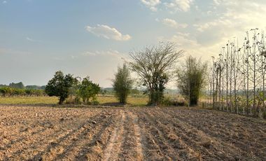 For sale land in Chiang Kham, Phayao