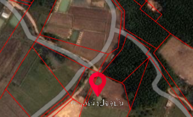 For sale land in Chiang Kham, Phayao