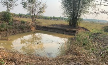 For sale land in Chiang Kham, Phayao
