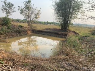 ขาย ที่ดิน ใน เชียงคำ, พะเยา