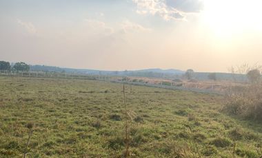 For sale land in Chiang Kham, Phayao