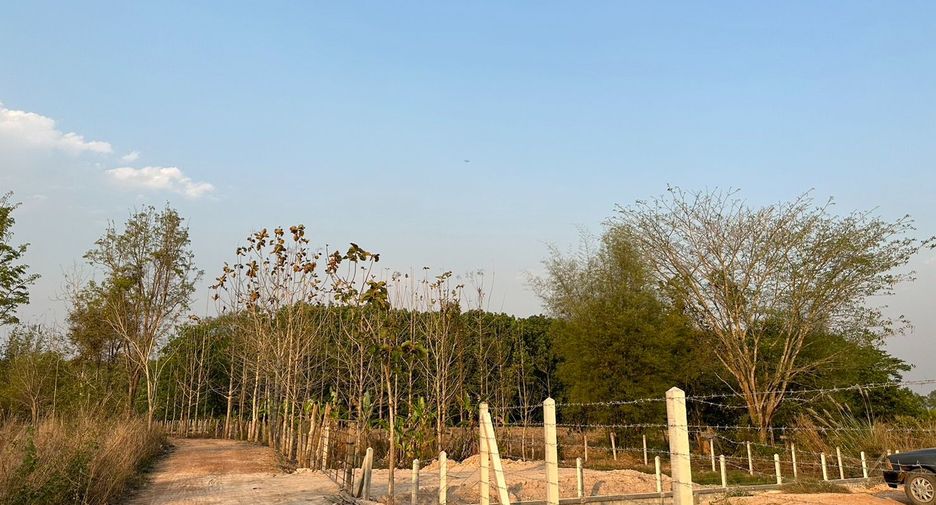 For sale land in Chiang Kham, Phayao