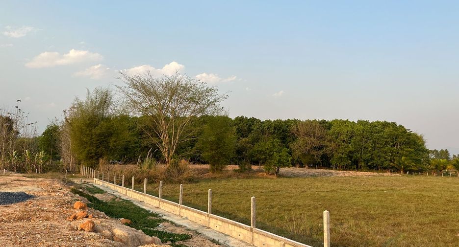 For sale land in Chiang Kham, Phayao