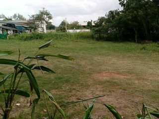 For sale land in Khiri Rat Nikhom, Surat Thani