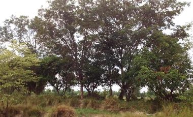 For sale land in Nikhom Kham Soi, Mukdahan