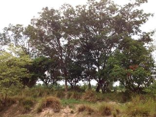 For sale land in Nikhom Kham Soi, Mukdahan