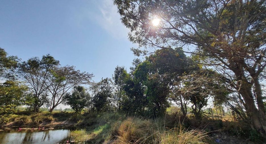 For sale land in Nikhom Kham Soi, Mukdahan