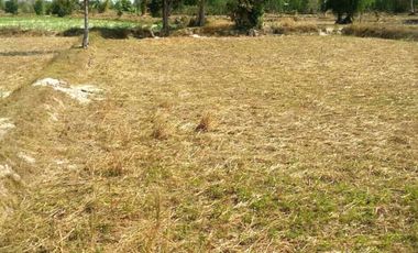 For sale land in Nikhom Kham Soi, Mukdahan