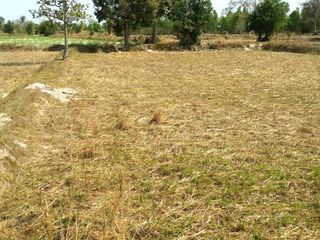 For sale land in Nikhom Kham Soi, Mukdahan