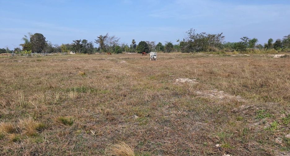 For sale land in Nikhom Kham Soi, Mukdahan