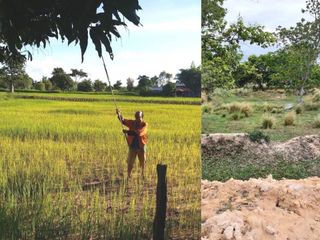 For sale land in Nikhom Kham Soi, Mukdahan