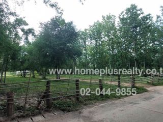 For sale land in Mueang Phayao, Phayao