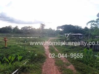 For sale studio land in Mueang Phayao, Phayao